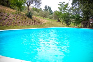 DSC06497-9