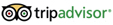 trip_advisor2